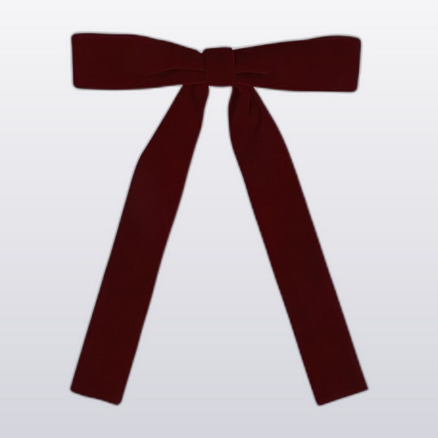Burgundy Velvet Bows — Pack of 12